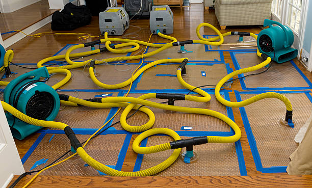 Professional Basement Flood Cleanup technician working in Wheeler, TX